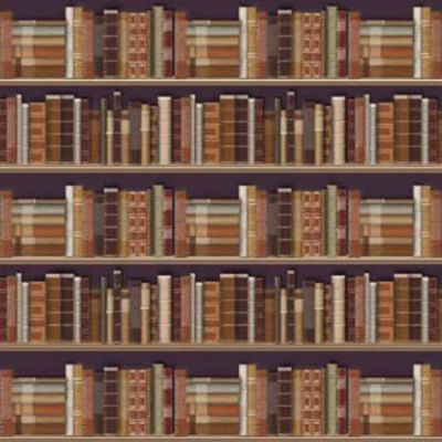 Traditional Bookcase Wallpaper (A2 size)            