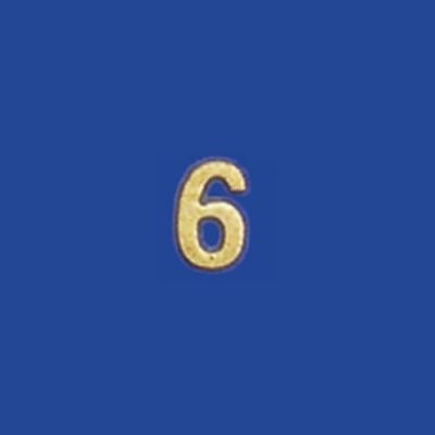 Brass House Number (6)
