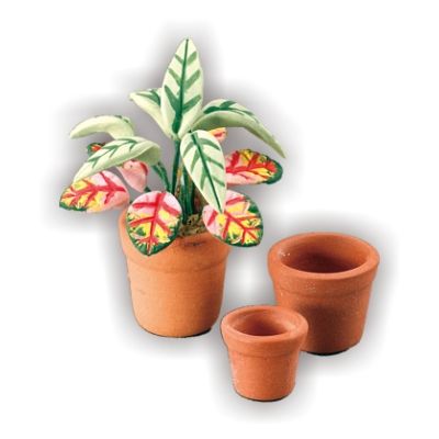 3 Flower Pots