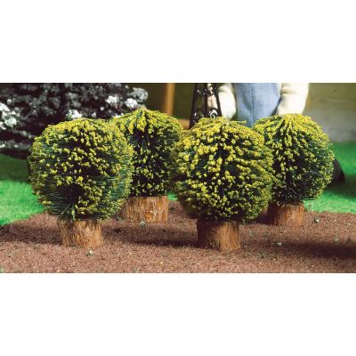 Round Box Bushes, 4 pcs                                     