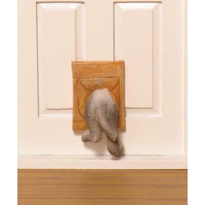 Sally the Cat in a Flap (PR)                                