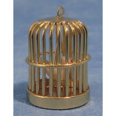 Brass Birdcage & Bird