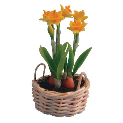 Daffodils in Basket