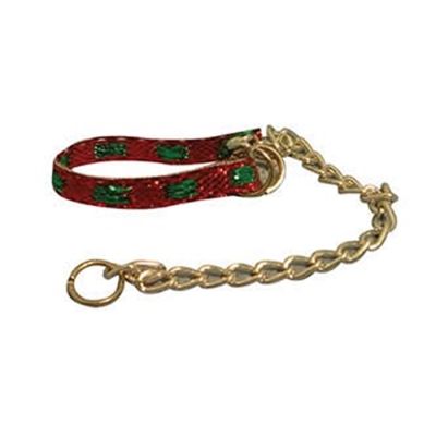 Dog Lead & Collar