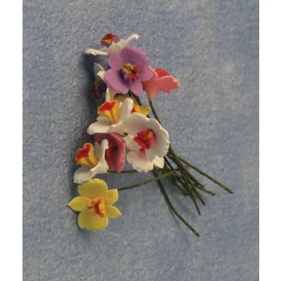 Orchids 12pcs