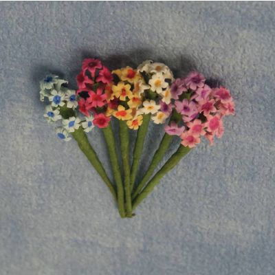 Hyacinth 6 pcs