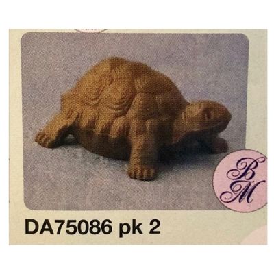 Large tortoise pk 2