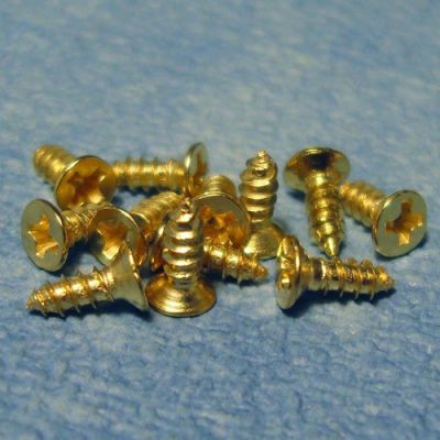 12 Brass 6mm Screws