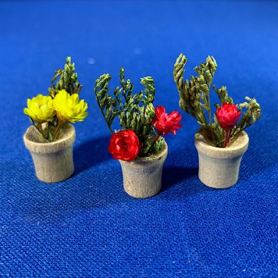 Potted Flowers (Pk 3 Asst. )